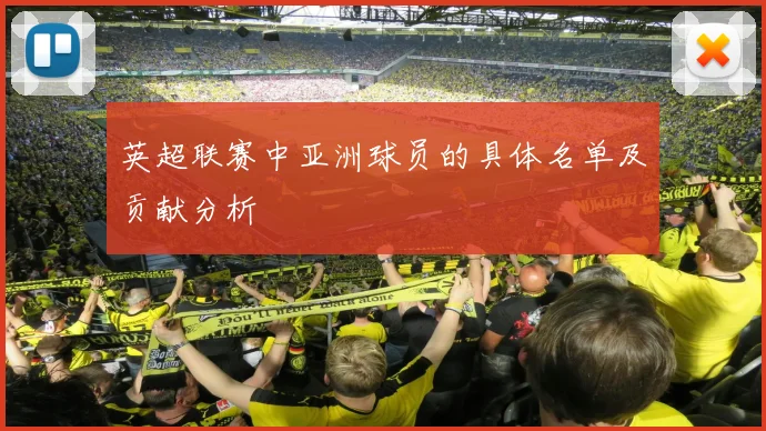 英超联赛中亚洲球员的具体名单及贡献分析
