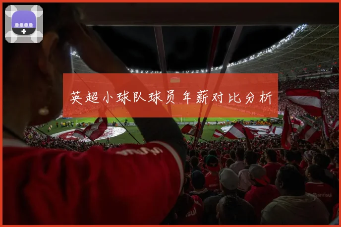 英超小球队球员年薪对比分析