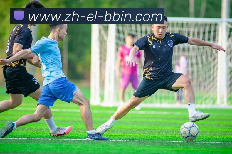 bbin宝盈平台生态图