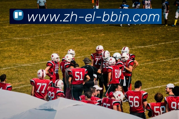 bbin宝盈APP 封面图